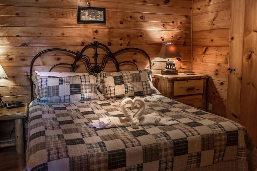 فيلا Holly Tree Hideaway - Semi Secluded Mtn Setting سيفيرفيل المظهر الخارجي الصورة